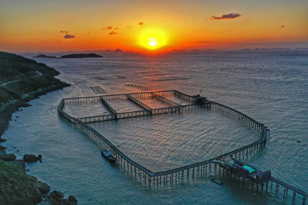 大陈岛，再获1块金字招牌
