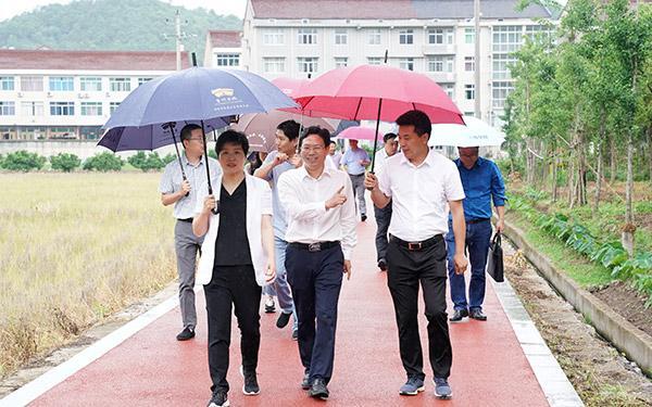 王丹:推进“四好农村路”建设 助力乡村振兴发展-台州频道